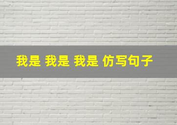 我是 我是 我是 仿写句子